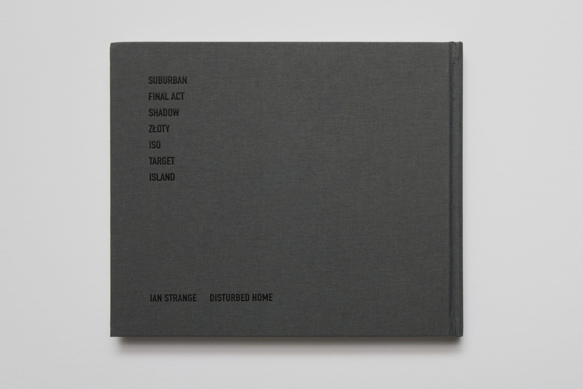 Ian Strange Disturbed Home 3