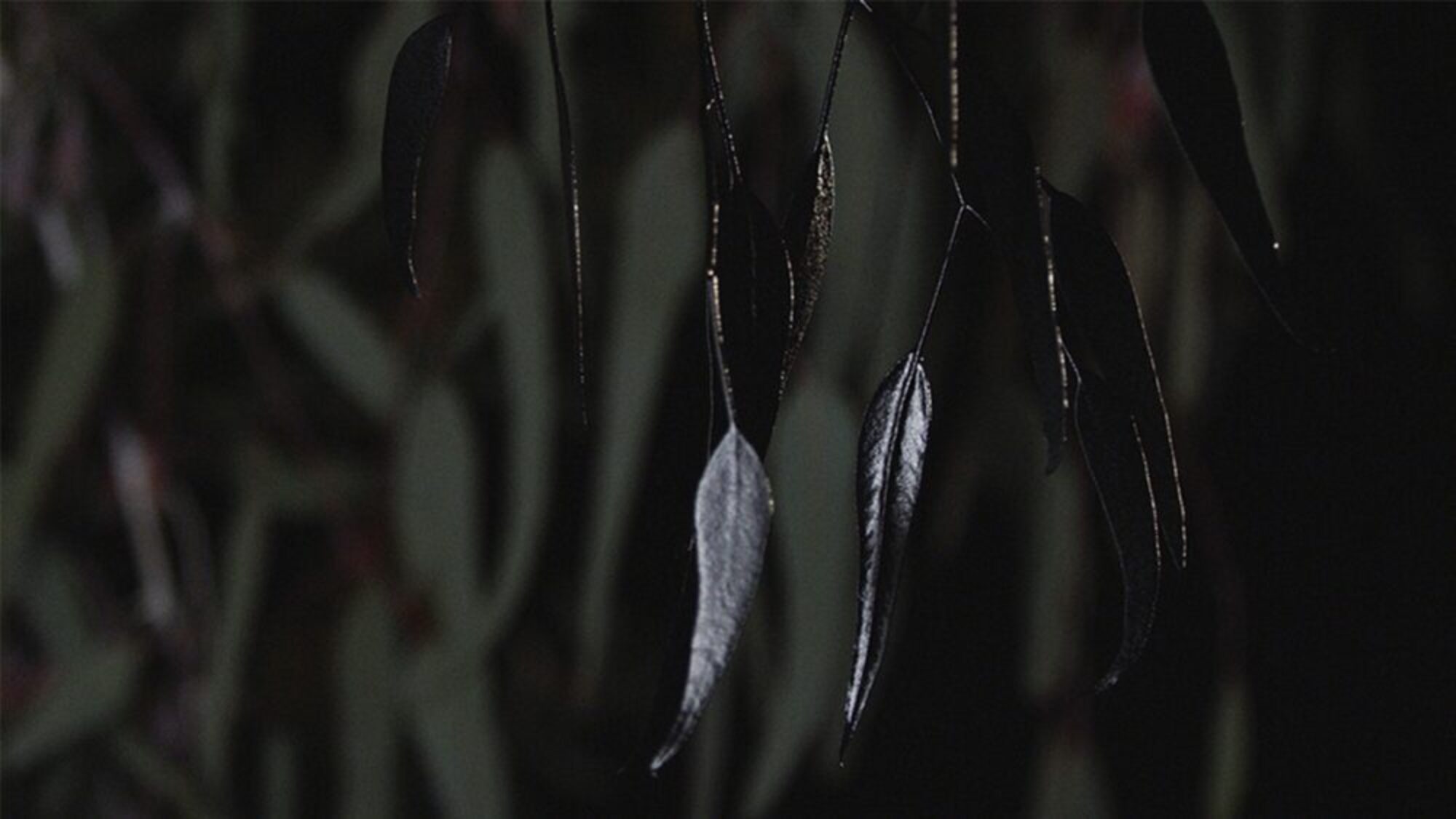 Ian Strange SHADOW Film Video artwork Still 5 1